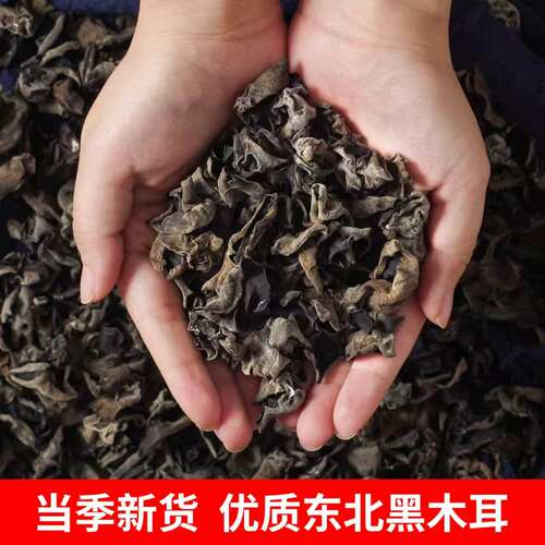 森工露选东北特产黑木耳干货500g长白山秋木耳小碗耳肉厚无根