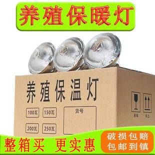 殖专用取AJQ暖灯场取暖灯猪育保雏保温灯牛羊狗猪养用暖灯节能小