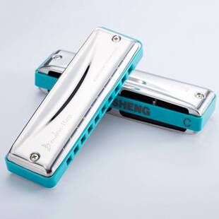 10孔布鲁斯口琴孔声成人专业演奏蓝调乐器初学者练习入门易学口琴