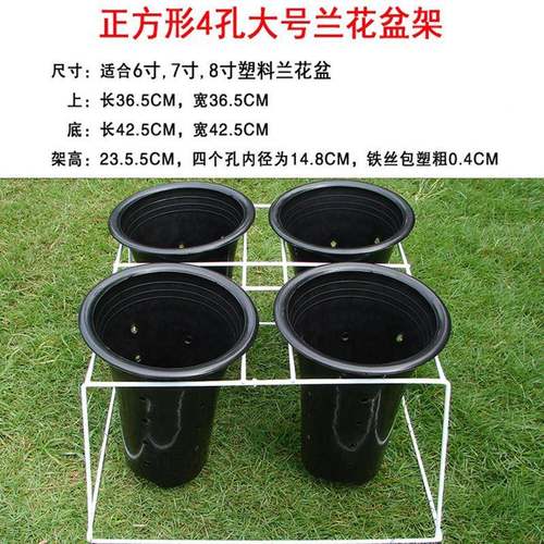 兰架铁艺料兰花盆专孔用支架白HGD色花架落塑地式48花孔兰草花盆