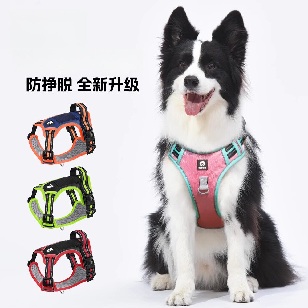 狗狗牵引绳遛狗绳子超加长狗链