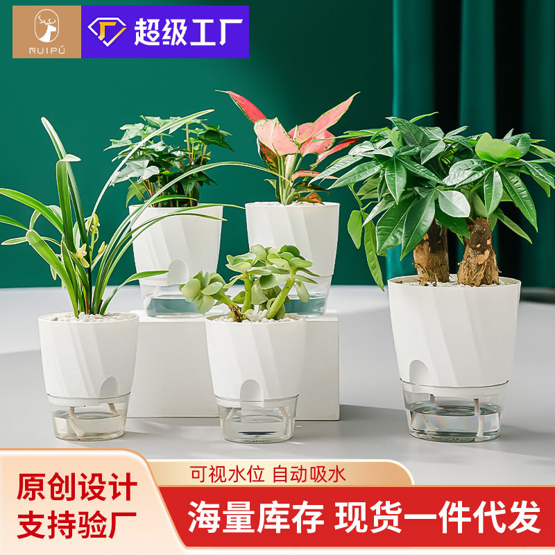 新款懒人盆绿萝植物自动吸水花盆
