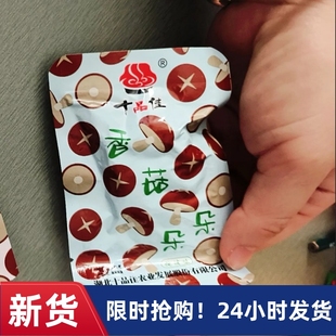 【抢】十品佳嫩滑香菇朵朵 卤香菇帽香辣零食 卤汁蘑菇解馋