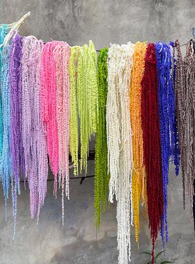 吊米永生花柔丽丝干 干燥花天然真花ins家居插花装饰清新墙面软装