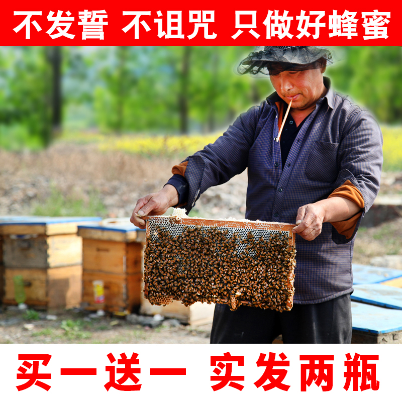 蜂蜜纯正天然农家自产野生土深山巢正宗百花槐花孕妇荆条500G小瓶