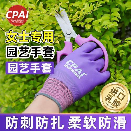 园艺手套女士专用防刺防水防扎赶海种花月季玫瑰种植拔草花艺防护