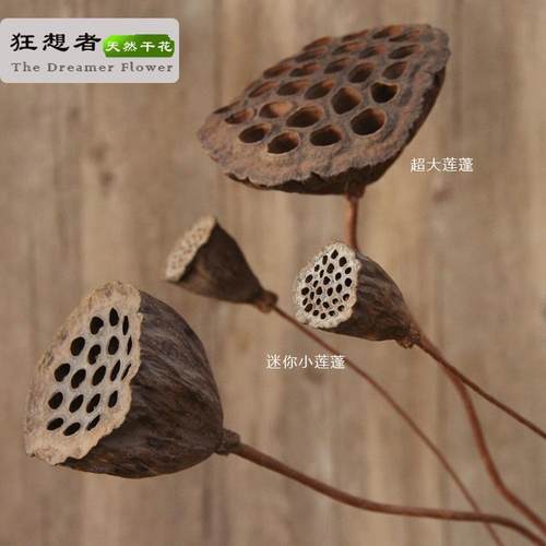 莲蓬森系自然干花束真花店餐厅家居装饰插花diy云南厂家