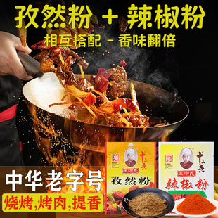 王守义孜然粉辣椒面粉家用炒菜烧烤煲汤调味料十三香撒料烤肉蘸料
