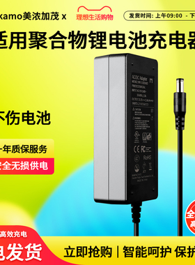 适用聚合物锂电池25.2V2A锂电池充电器 6串25.2V电源恒流恒压26v27v