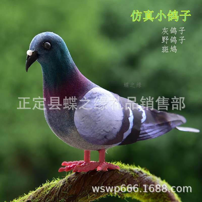 仿真小鸽子灰鸽子野鸽子广场鸽斑鸠道具摄影园林配饰鸽子小鸟模型