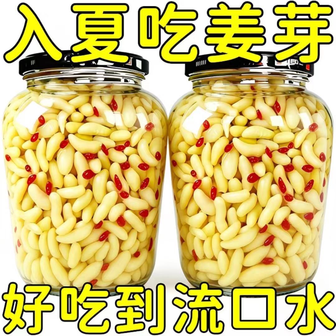 头茬嫩生姜】山东特产枸杞嫩姜芽泡菜生姜姜枸杞泡姜芽下饭糖醋味