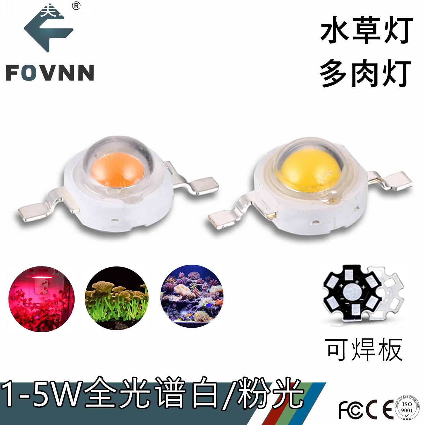 1W3W5W大功率高亮LED全光谱白光粉光植物生长灯珠水族灯多肉灯