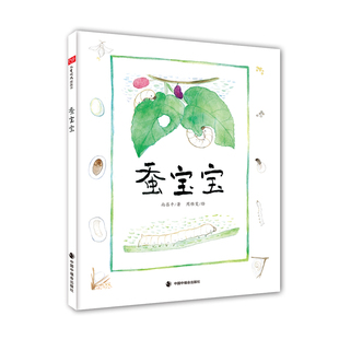 蚕宝宝自然观察绘本4-7岁中国中福会出版社生命周期昆虫认知科学启蒙
