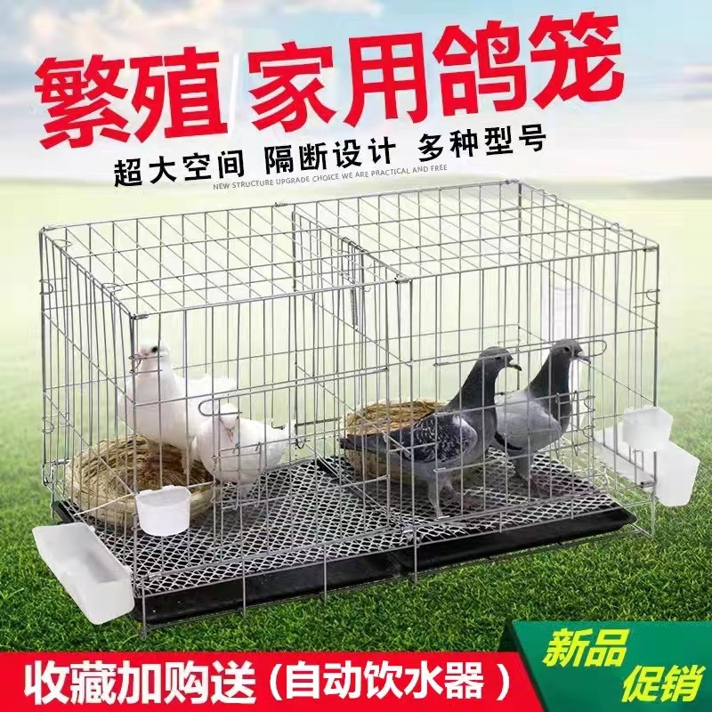 鸽子笼家用大号特大加粗用品用具鸽子笼大号鸡笼家用鸽子养殖笼子