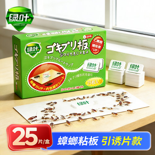高效24V1室内家庭灭蟑螂贴