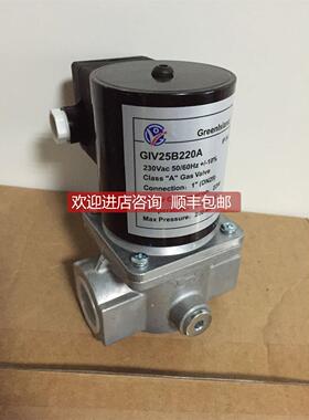 询价GIV15B220A,GIV25B220A，GIV20B220A电磁阀