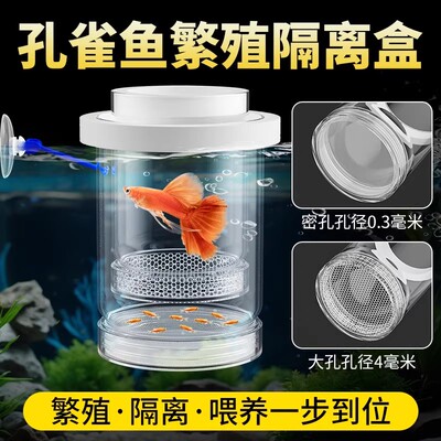 鱼缸隔离盒幼鱼孵化保护