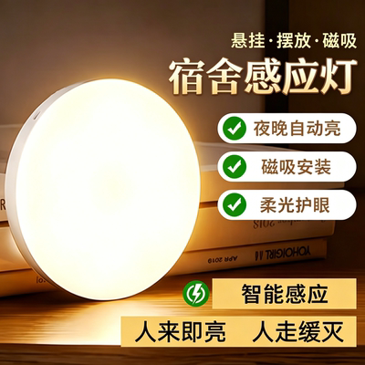 【全网热销爆款】人体自动感应灯