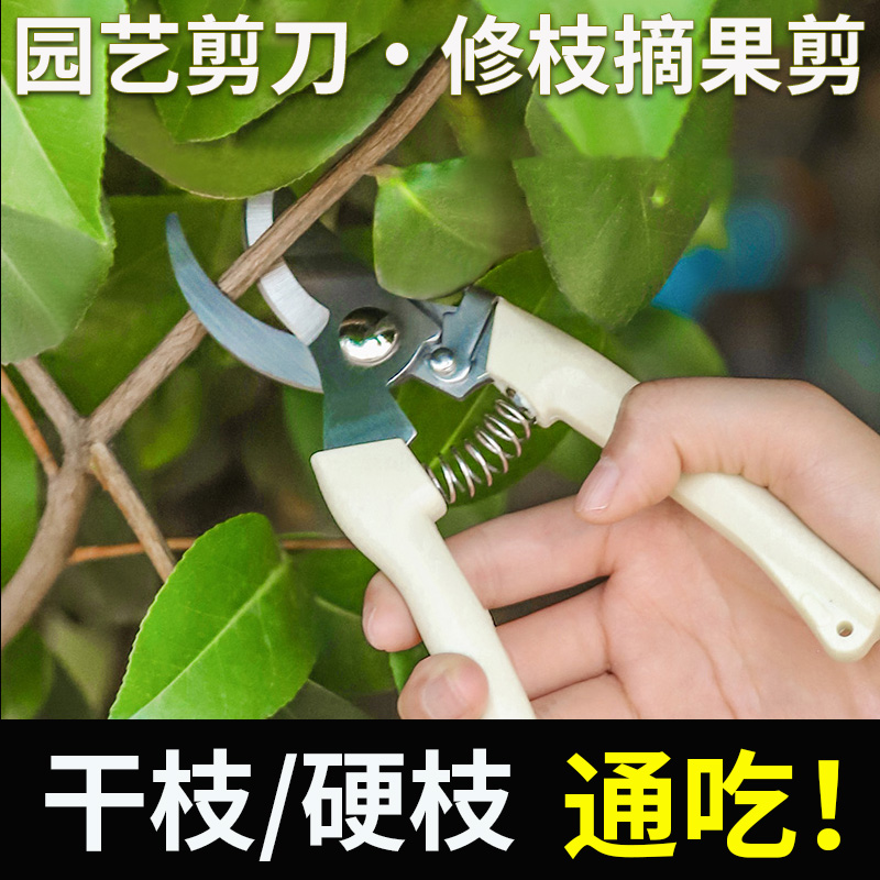 剪枝剪刀园林花艺修剪树枝剪刀果树剪刀粗大花剪园艺剪子神工具器