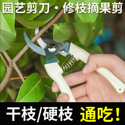 园艺剪树枝花卉剪刀果树剪摘果