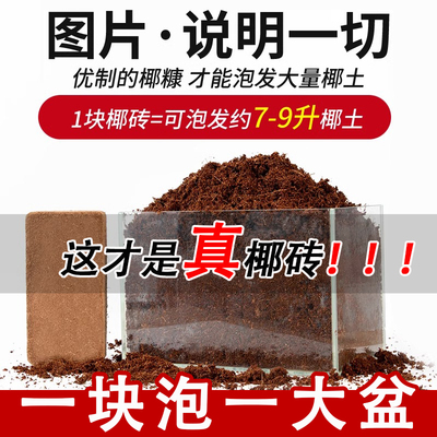 椰砖土通用型营养脱盐椰砖