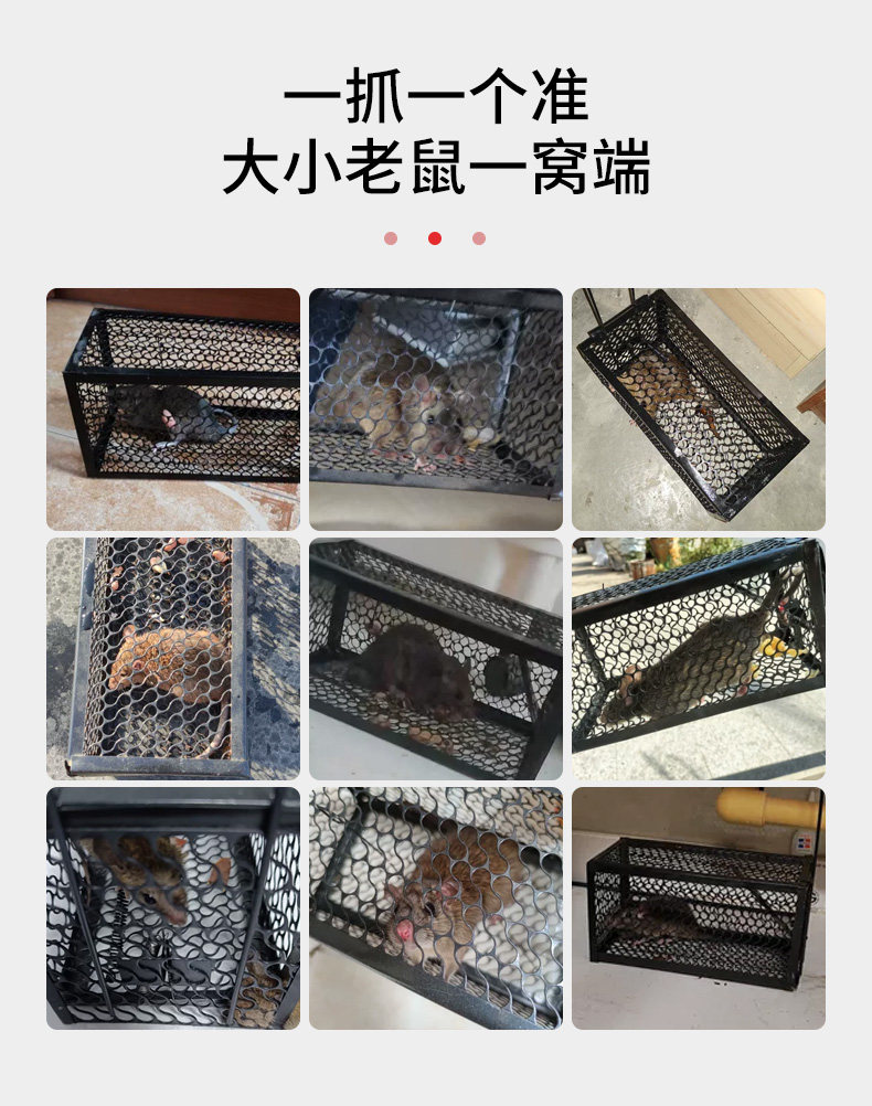완전 자동 마우스 잡기 마우스 케이지 가정용 마우스 잡기 유물 실내 초강력 마우스 잡기 및 마우스 보드가있는 마우스 트랩 소화