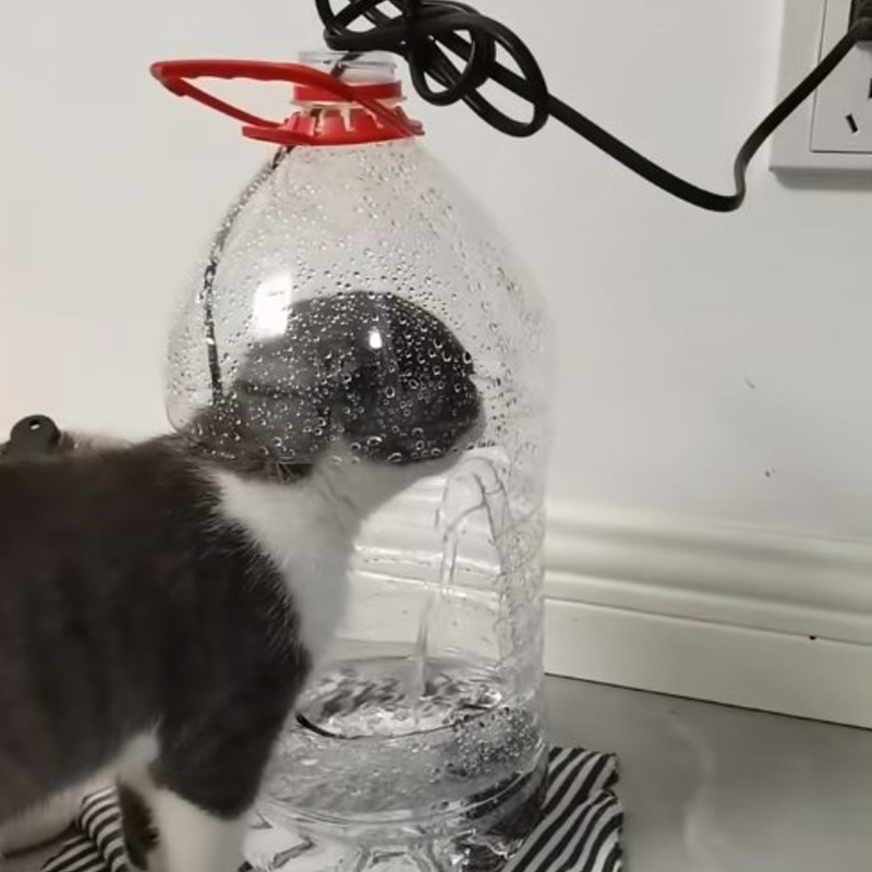 水泵猫咪喝水器流动饮水机宠物抽水泵小型家用静音过滤自动循环泵