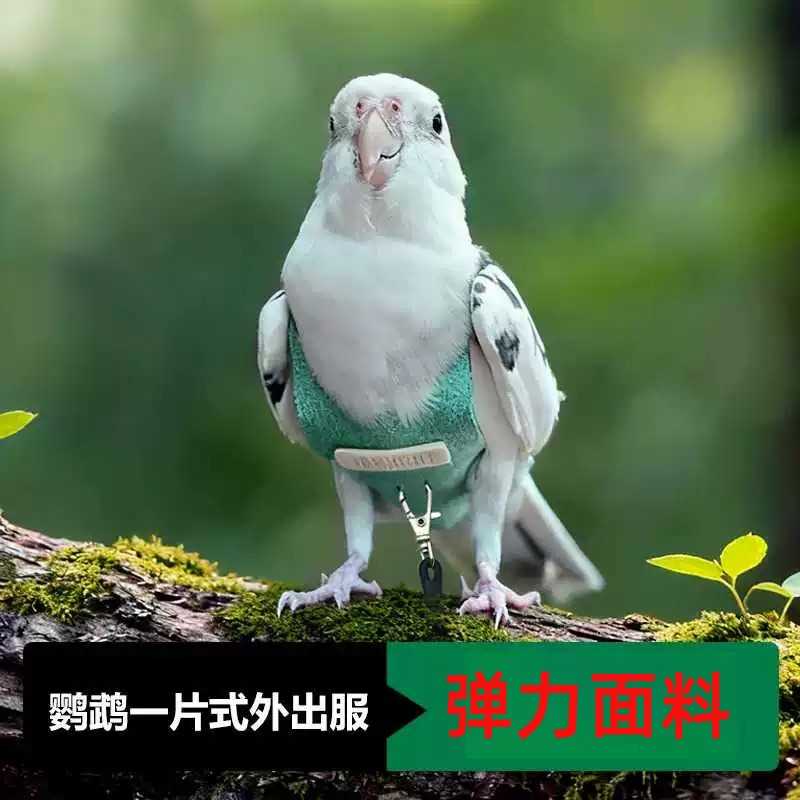 鹦鹉外出牵引绳玄凤牡丹虎皮小太阳放飞绳背心遛鸟绳衣服鸟飞行服
