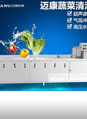 厂家产海QP-20生带臭氧能清洗机 多功海白菜气泡菜清洗机 大型洗