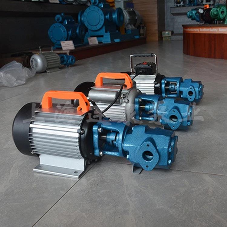 上海连现货 CB30小型铸铁W防774爆电动抽齿轮泵 WCB-3泉0手提油泵