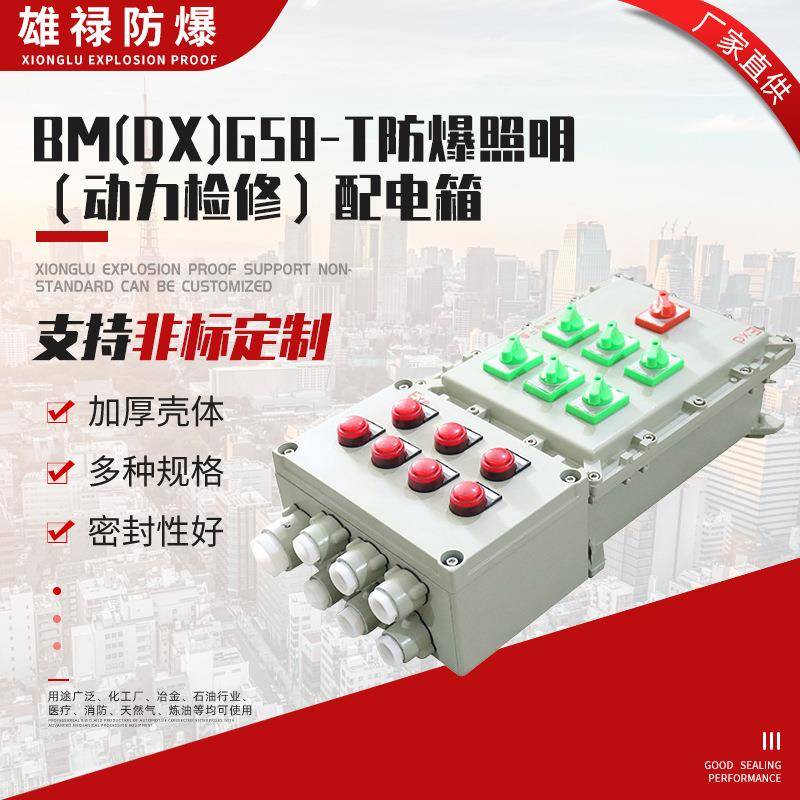 配电箱BM(DX)G58-T照明（动力检修）配电箱接线箱控制箱