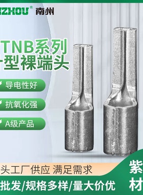 PTNB针型插片端子10-12/16-13/25-15扁针型裸端子紫铜加厚