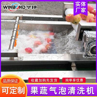 应白供菜气泡清洗机 西商柿气泡清洗机EZG 用不锈红钢清洗流水线