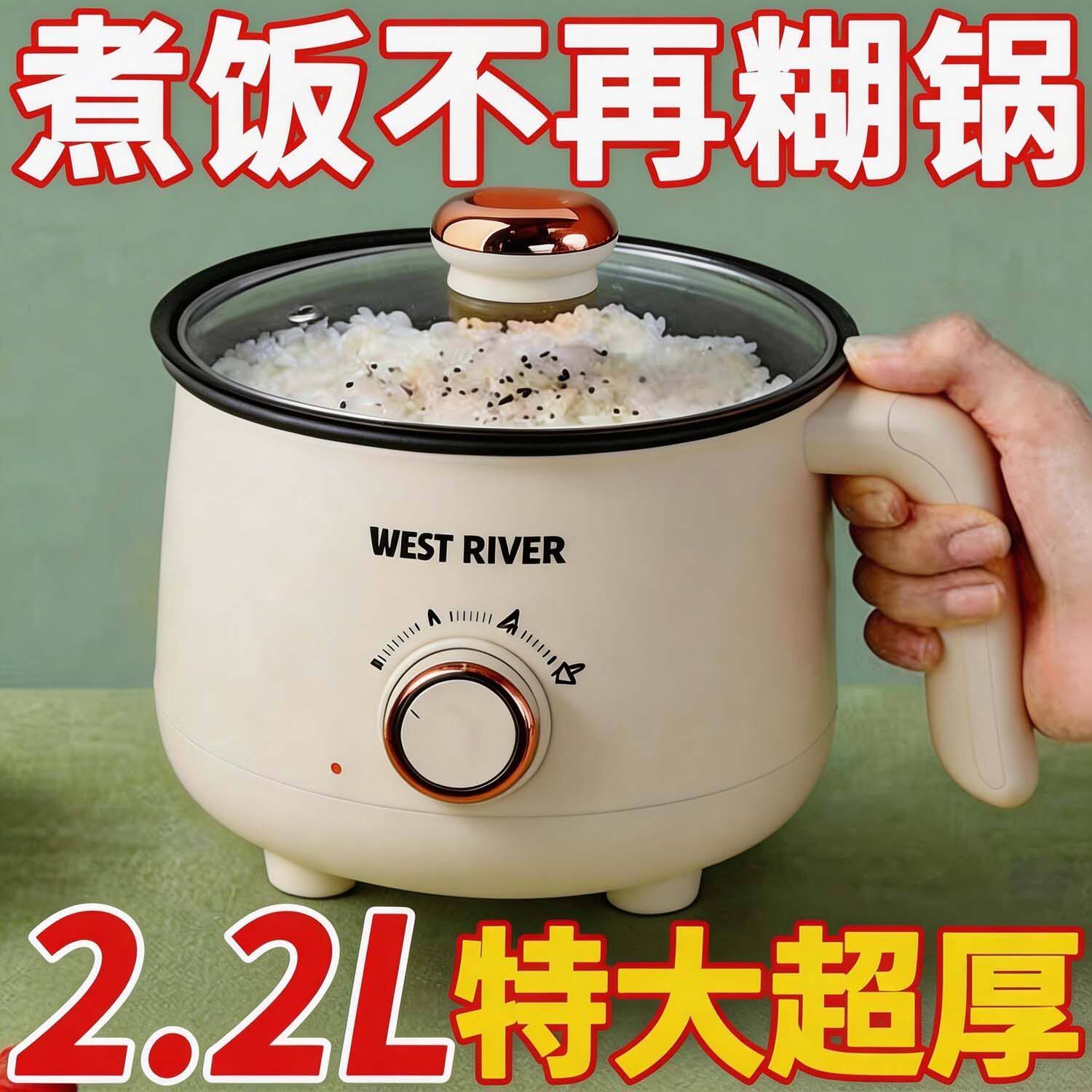德国电煮锅家用学生宿舍锅多功能小型一体小电锅煮饭炒菜电热火锅