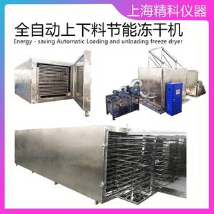 制定水果冻干机 生产实验型冻干机 食品冻干机 真空冷冻干燥机