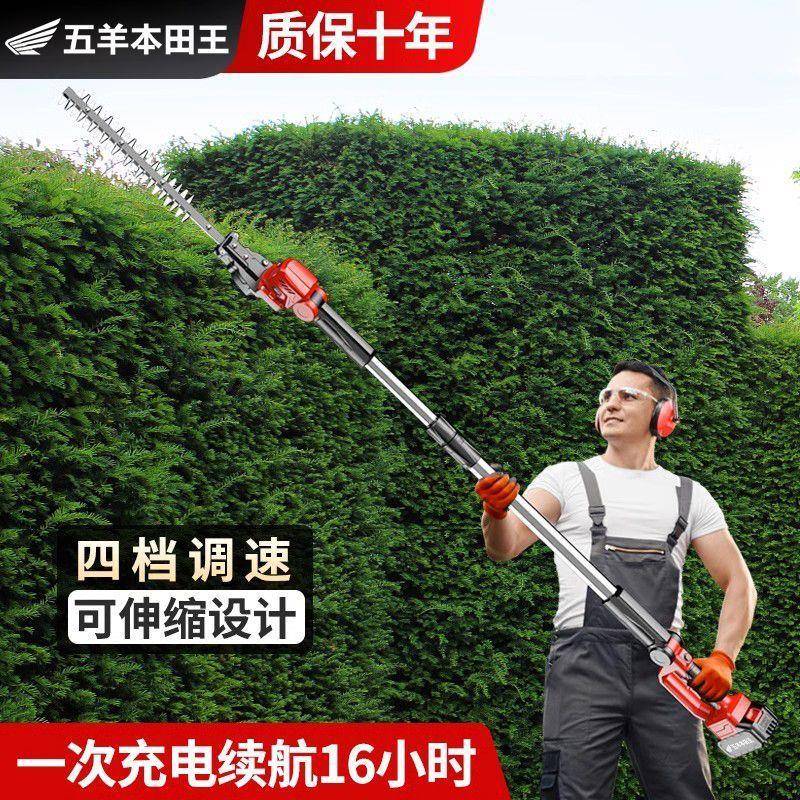 进口电动绿篱机加长杆高枝修剪机伸缩杆大功率锂电园林草坪修枝机
