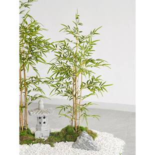 竹子室内装饰假竹子隔断竹子单根装风挡密墙造景室外饰竹盆栽加屏