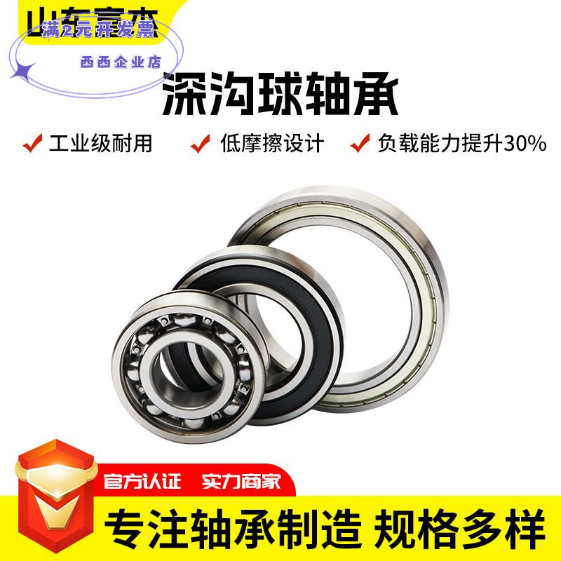SKF深沟球轴承高速电机单列轴承6