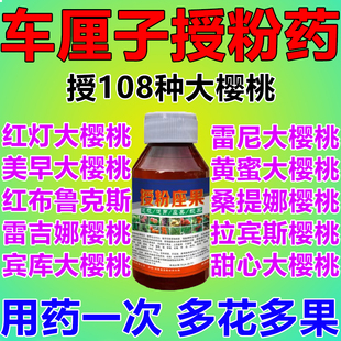 车厘子大樱桃授粉药催花专用药授粉坐果精保花保果药防落果控旺药
