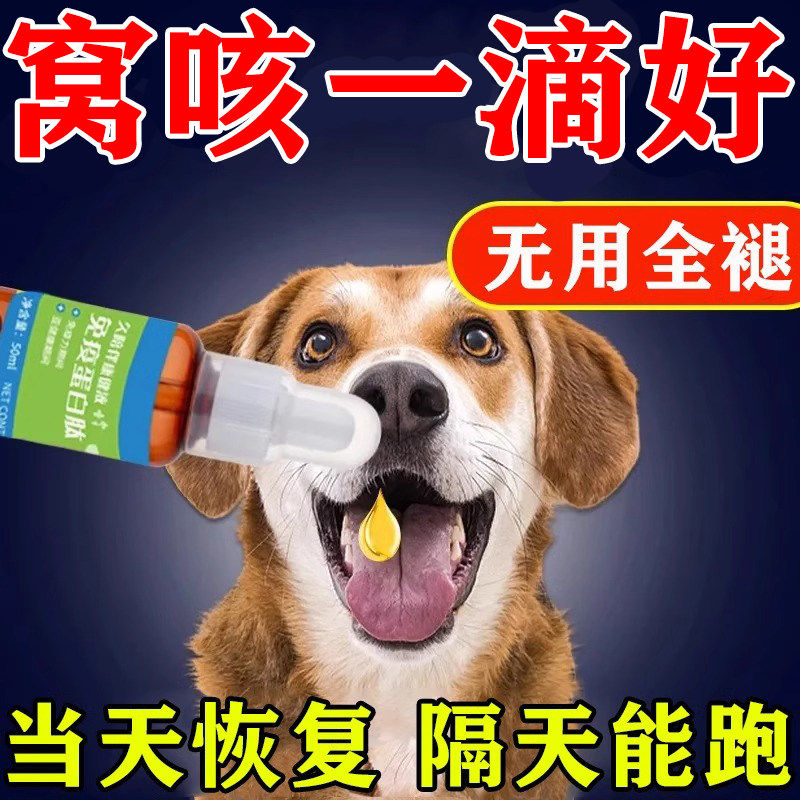 犬窝咳特效药狗狗感冒药咳嗽流鼻涕专用药小狗止咳干呕发烧犬瘟净,宠物/宠物食品及用品,猫狗通用营养膏,淘宝优惠券,粉丝福利购,淘宝优惠卷