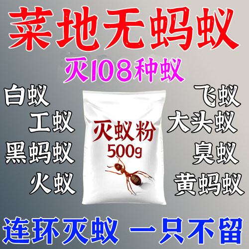 无毒一窝端灭小黄蚂蚁白蚁药