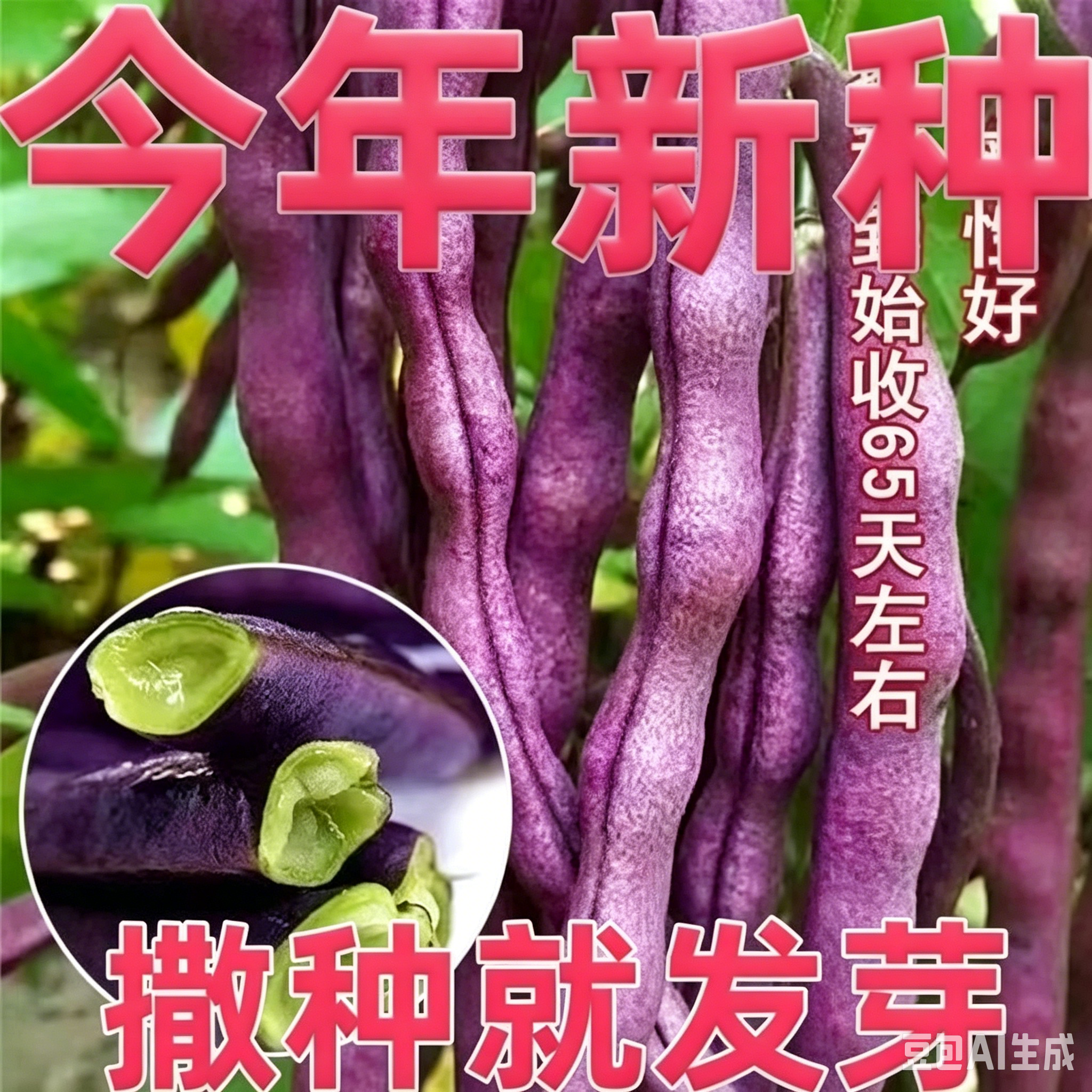 【八月忙冻死鬼豆角种子】家庭阳台小院盆栽地栽WL
