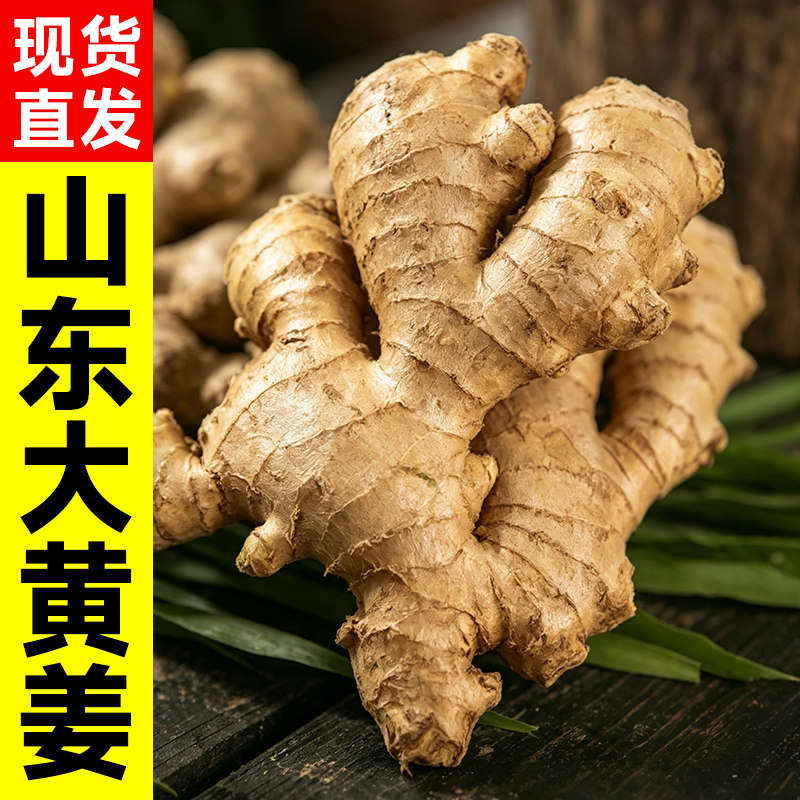 生姜新鲜老姜嫩芽大块农家自种现挖风干姜土姜小黄姜批发山东大姜 - 实物图