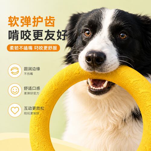 飞盘耐咬圆环大型犬磨牙互动