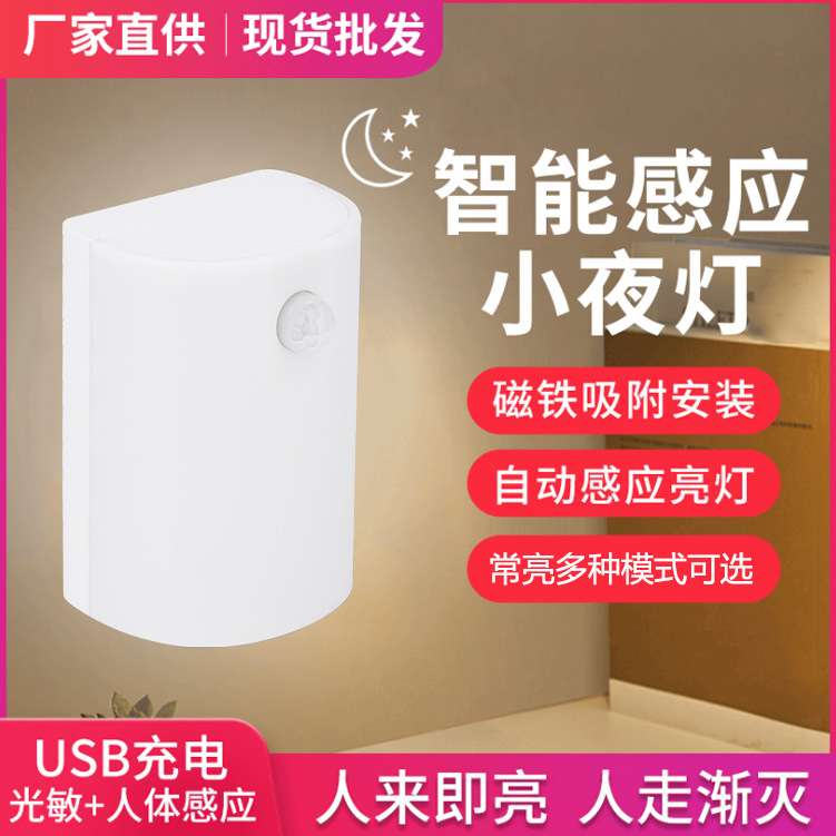 特卖爆款户外露营夜灯人体感应小夜灯USB充电夜灯带开关户外灯
