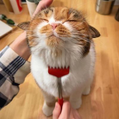 猫咪挠痒痒神器逗猫棒撸猫玩具梳子解闷按摩抓痒可伸缩梳子狗狗