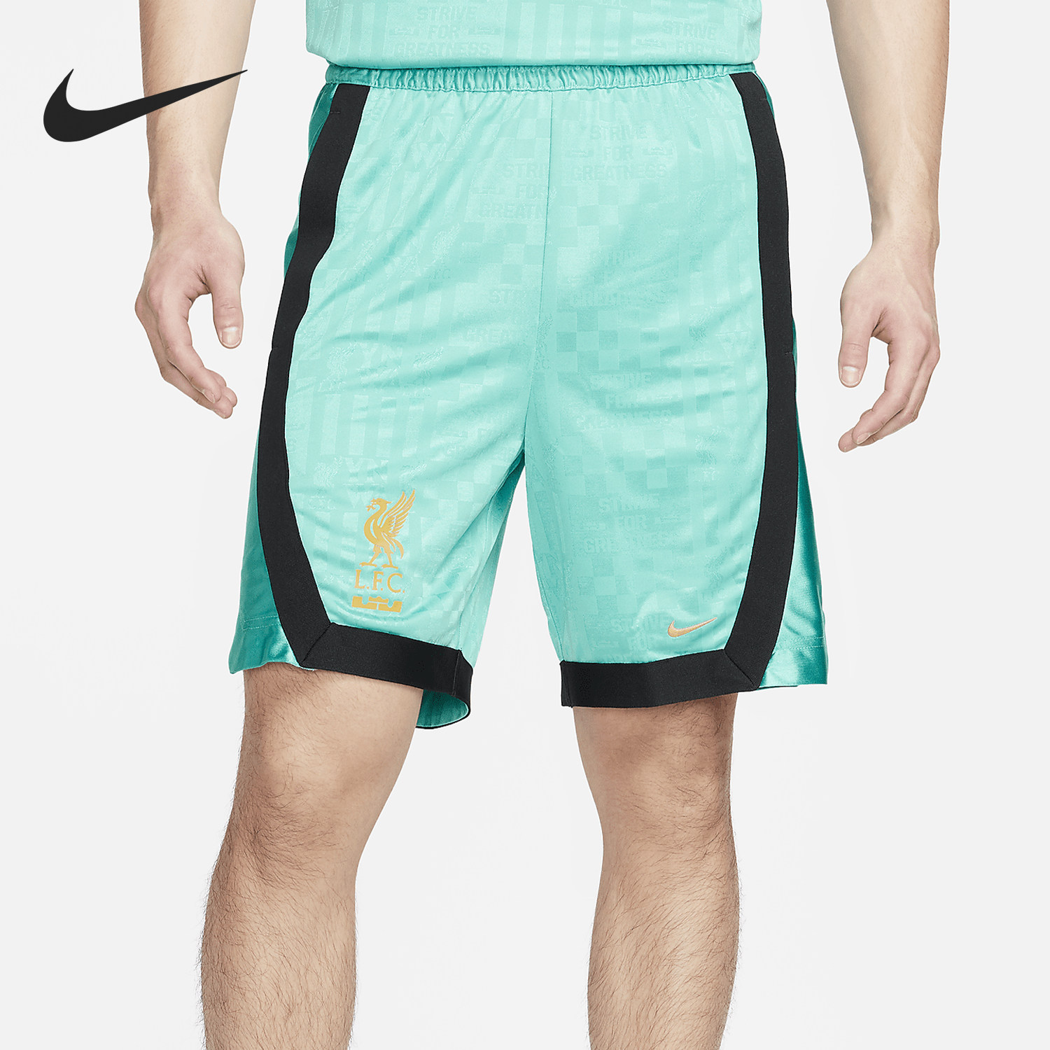 Nike/耐克正品Dri-FIT DNA 男士詹姆斯篮球短裤FN3013-392