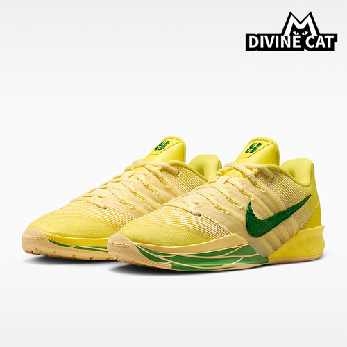 Nike/耐克正品四季款男女款耐磨减震经典健步篮球鞋IR2477-700