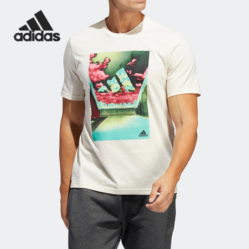 Adidas/阿迪达斯正品夏季新款休闲透气男子运动短袖T恤HE2309