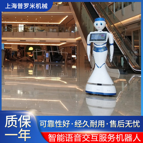 商务政务商场酒店机场迎宾前台咨询服务引路交互机器人